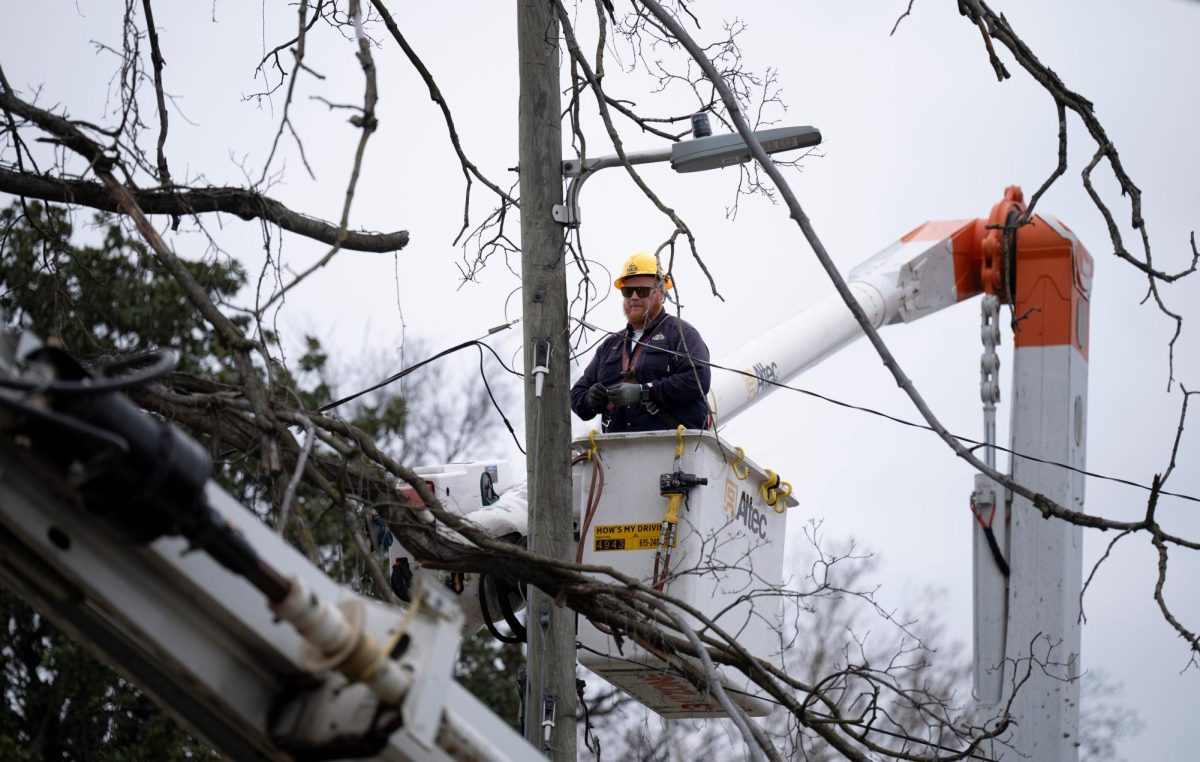 A Nashville Electric Service lineman works on the circuit for a power pole. © Denny Simmons / The Tennessean / USA TODAY NETWORK via Imagn Images